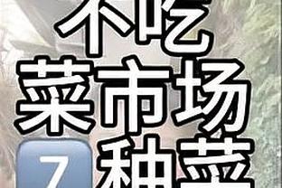 雷电竞登录入口截图0